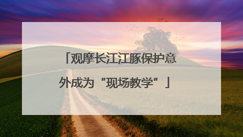 观摩长江江豚保护意外成为“现场教学”